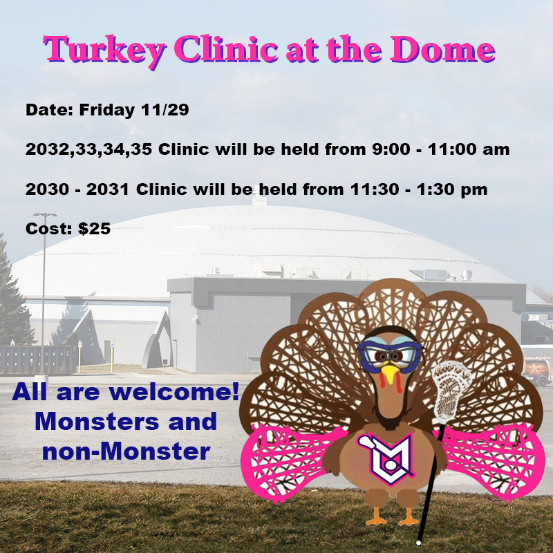 TurkeyClinic-Dome (1)